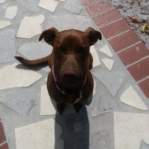 Meet your Posher, Matthew